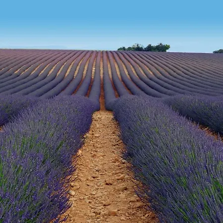 Le Tresor Des Templiers 4*