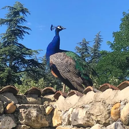 Le Tresor Des Templiers 4* Malataverne